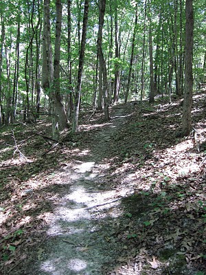 Ellett Valley Trail