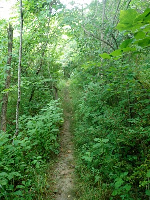 Ellett Valley Trail