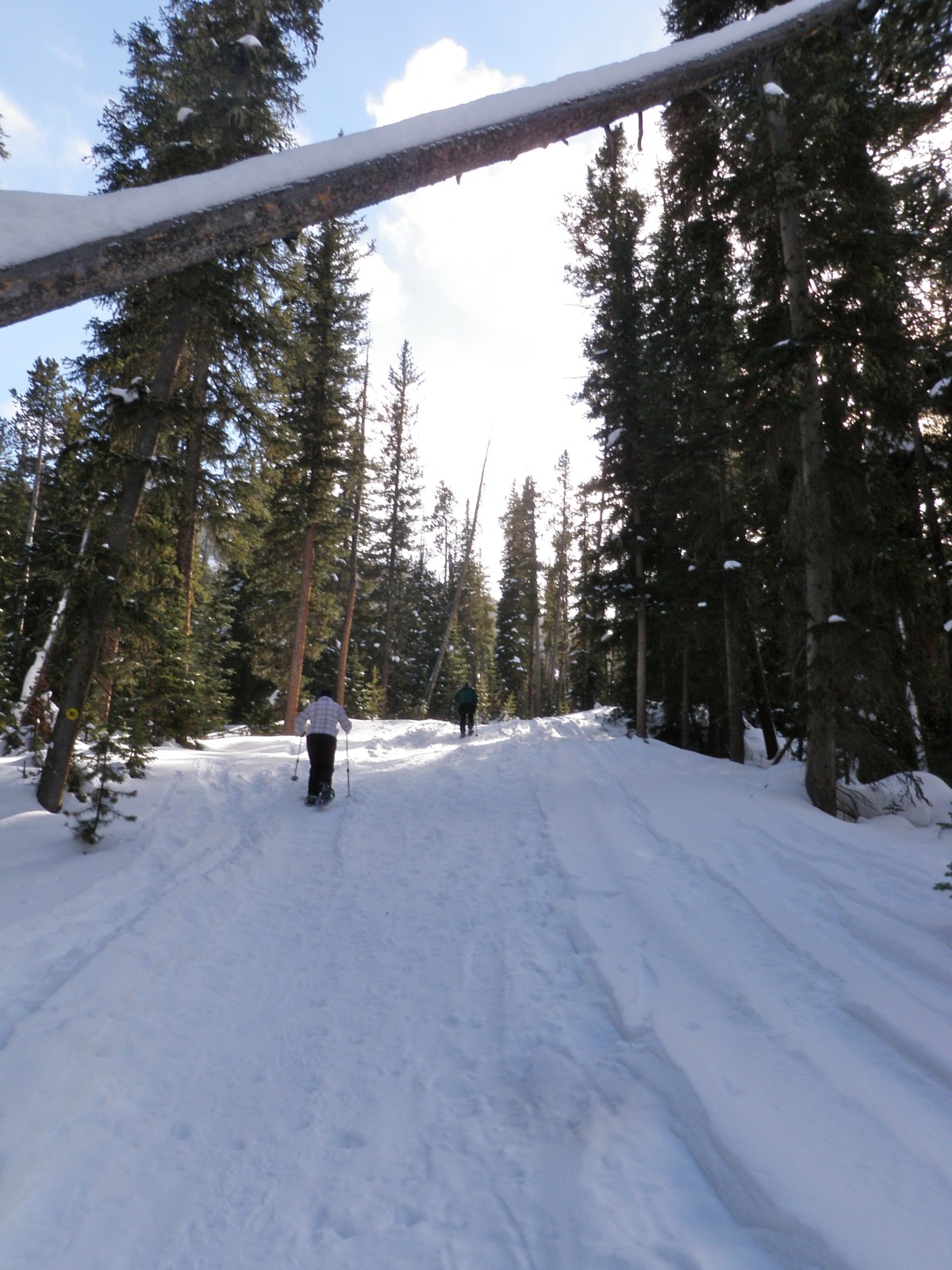 Moose Tracks Trail – Snowshoeing at Big Sky Resort,&nbsp;MT