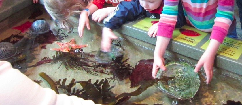 aquarium-hands-on