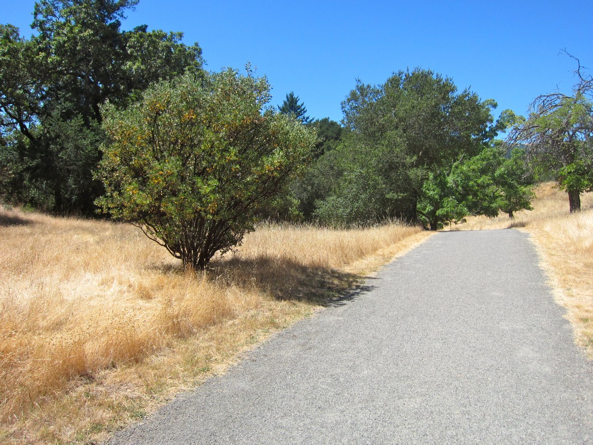 Jack London State Park – Hiking Trails – Glen Ellen,&nbsp;CA