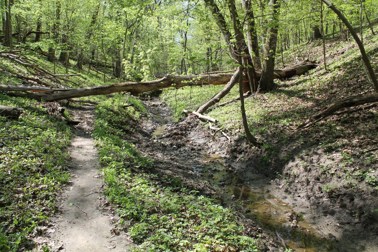 Macbride Nature Recreation Area – Hiking Trails, Raptor Center – Iowa ...