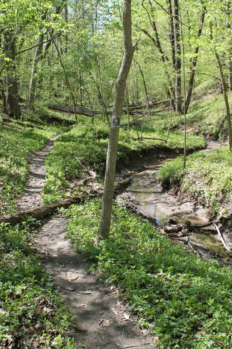 Macbride Nature Recreation Area – Hiking Trails, Raptor Center – Iowa ...