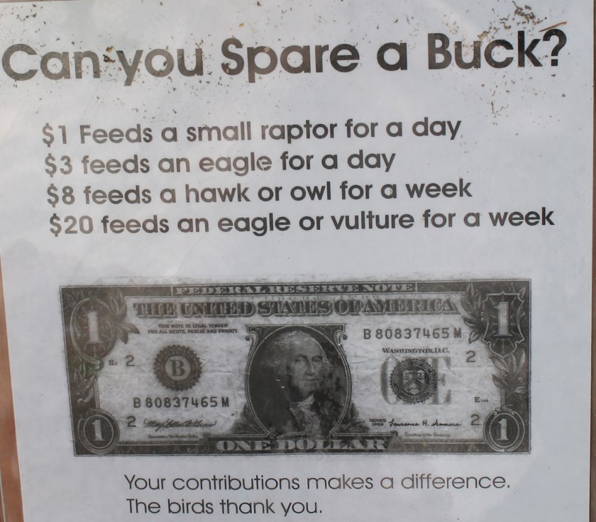 IMG_0361 - Version 2