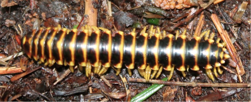 IMG_0503 - Version 2