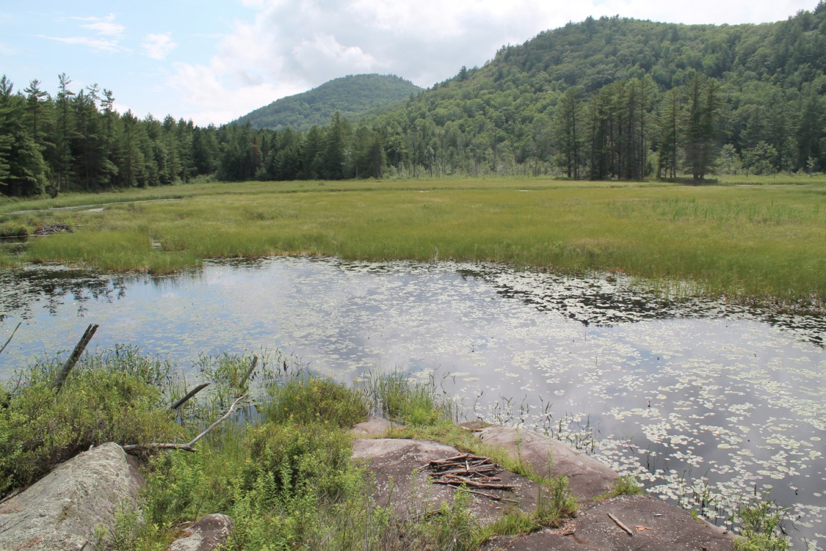 Amy’s Park – Lake George Hiking – Bolton Landing,&nbsp;NY