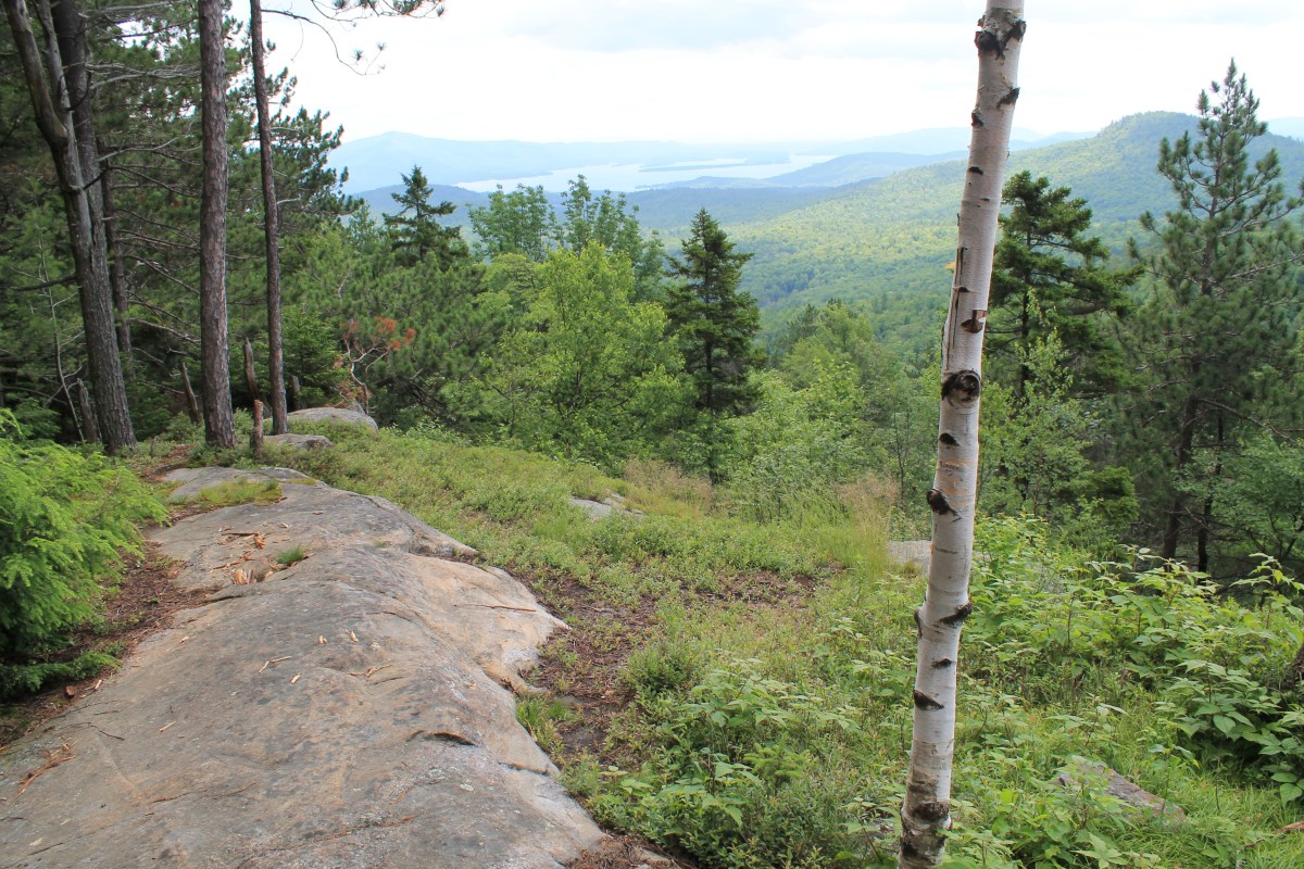 Cat and Thomas Mountains Preserve – Lake George,&nbsp;NY