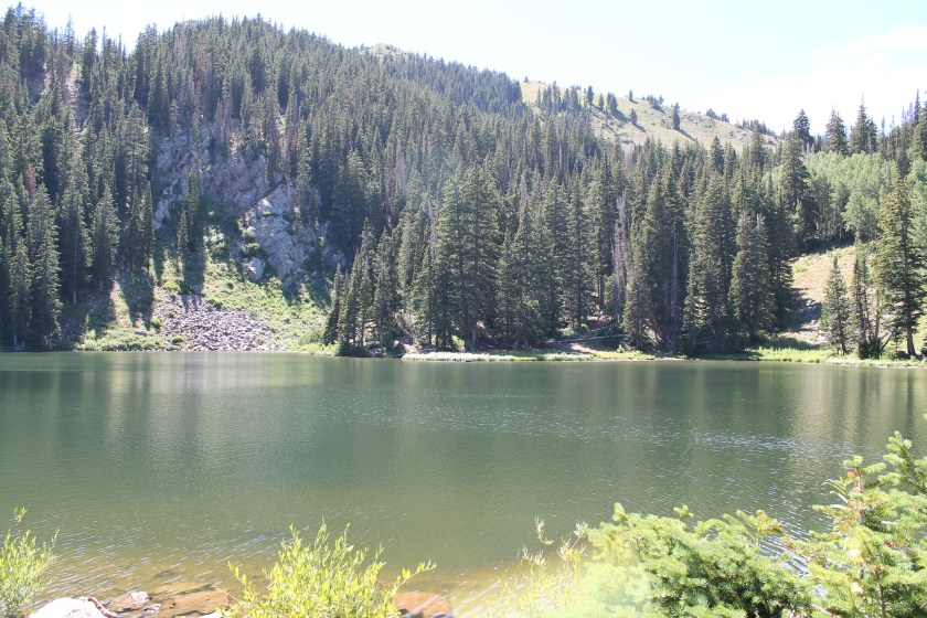 Bloods Lake
